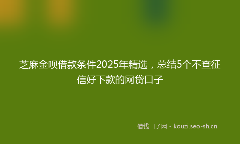 芝麻金呗借款条件2025年精选，总结5个不查征信好下款的网贷口子