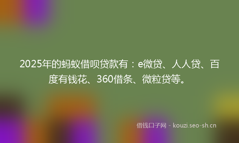 2025年的蚂蚁借呗贷款有：e微贷、人人贷、百度有钱花、360借条、微粒贷等。