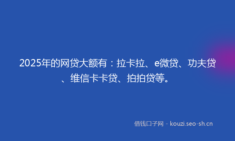 2025年的网贷大额有：拉卡拉、e微贷、功夫贷、维信卡卡贷、拍拍贷等。