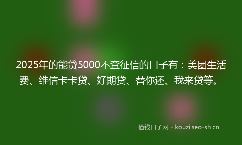 2025年的能贷5000不查征信的口子有：美团生活费、维信卡卡贷、好期贷、替你还、我来贷等。