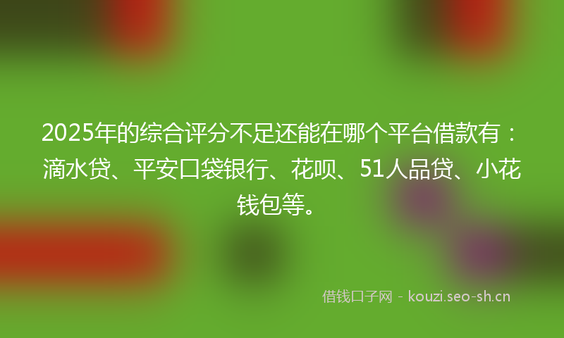 2025年的综合评分不足还能在哪个平台借款有：滴水贷、平安口袋银行、花呗、51人品贷、小花钱包等。