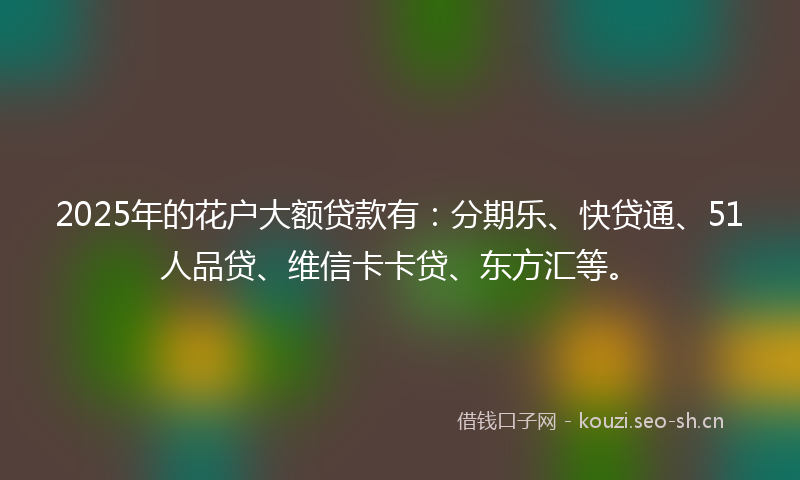 2025年的花户大额贷款有：分期乐、快贷通、51人品贷、维信卡卡贷、东方汇等。