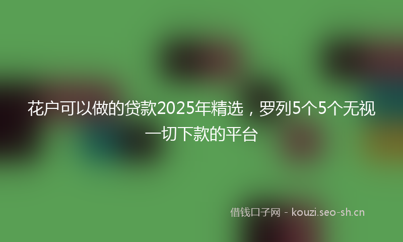 花户可以做的贷款2025年精选，罗列5个5个无视一切下款的平台
