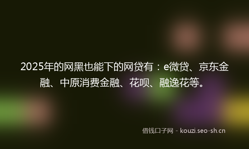 2025年的网黑也能下的网贷有：e微贷、京东金融、中原消费金融、花呗、融逸花等。