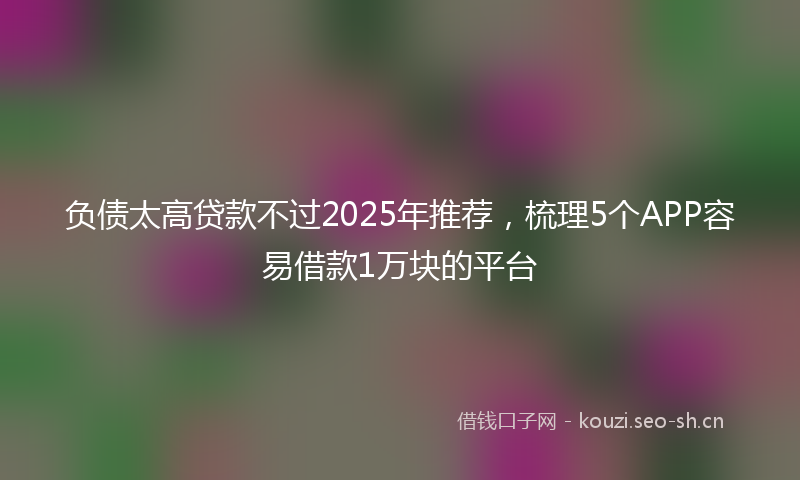 负债太高贷款不过2025年推荐，梳理5个APP容易借款1万块的平台