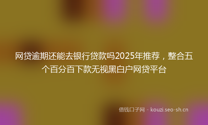 网贷逾期还能去银行贷款吗2025年推荐，整合五个百分百下款无视黑白户网贷平台