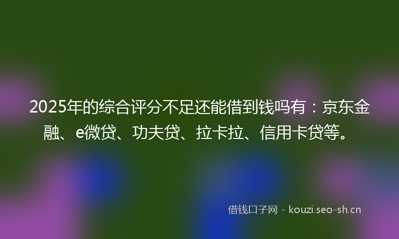 2025年的综合评分不足还能借到钱吗有:京东金融、e微贷、功夫贷、拉卡拉、信用卡贷等。