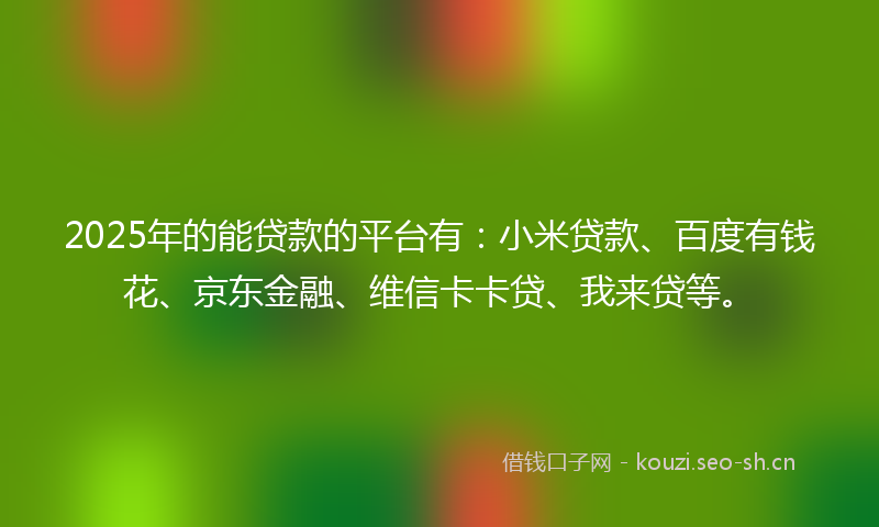 2025年的能贷款的平台有：小米贷款、百度有钱花、京东金融、维信卡卡贷、我来贷等。
