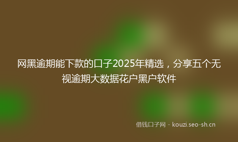 网黑逾期能下款的口子2025年精选，分享五个无视逾期大数据花户黑户软件