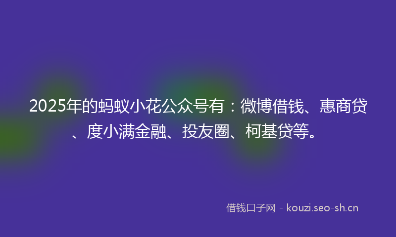 2025年的蚂蚁小花公众号有：微博借钱、惠商贷、度小满金融、投友圈、柯基贷等。