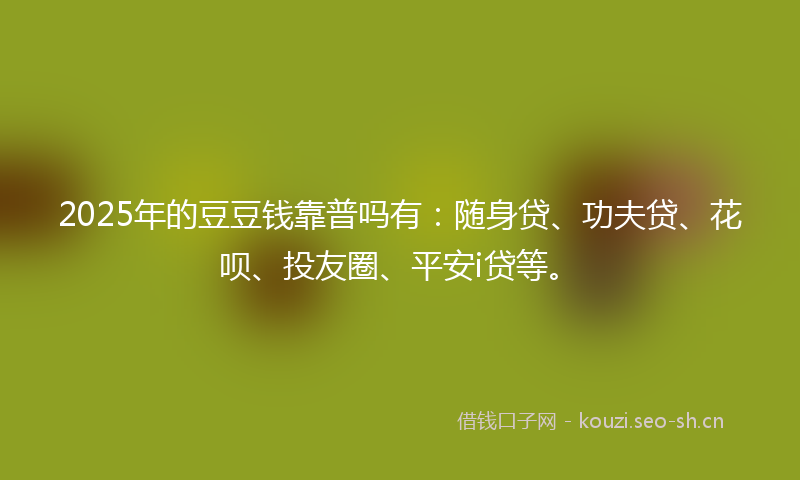 2025年的豆豆钱靠普吗有：随身贷、功夫贷、花呗、投友圈、平安i贷等。