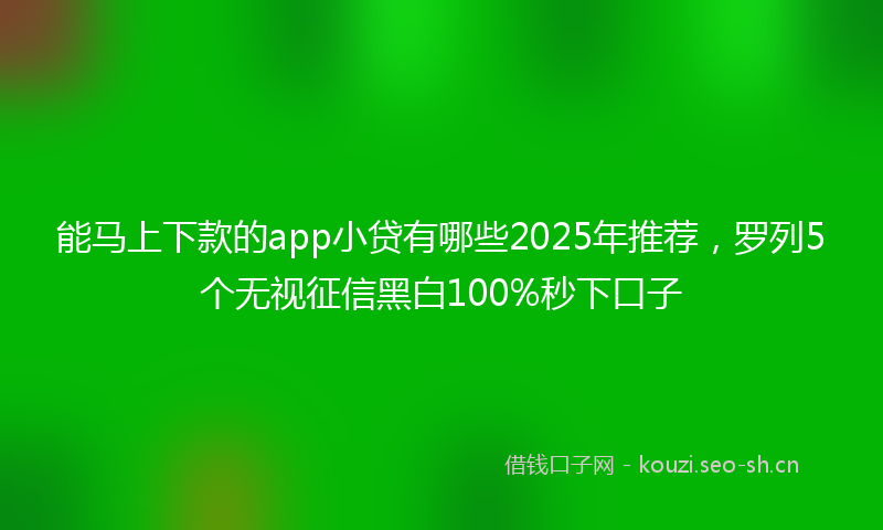 能马上下款的app小贷有哪些2025年推荐，罗列5个无视征信黑白100%秒下口子