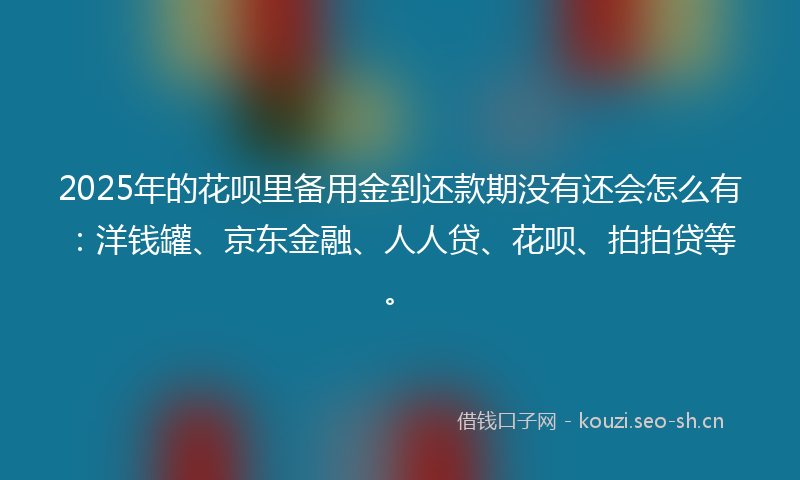 2025年的花呗里备用金到还款期没有还会怎么有：洋钱罐、京东金融、人人贷、花呗、拍拍贷等。