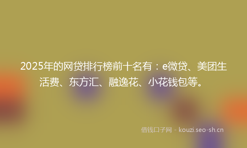 2025年的网贷排行榜前十名有：e微贷、美团生活费、东方汇、融逸花、小花钱包等。