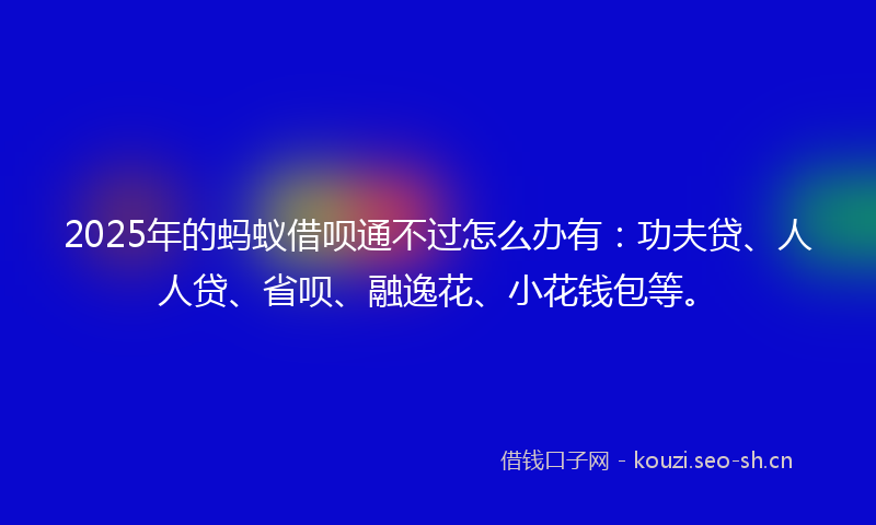 2025年的蚂蚁借呗通不过怎么办有：功夫贷、人人贷、省呗、融逸花、小花钱包等。