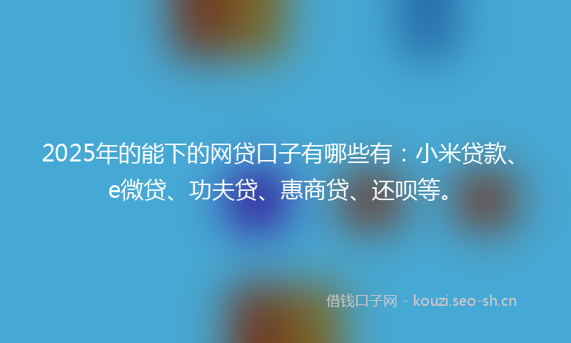 2025年的能下的网贷口子有哪些有：小米贷款、e微贷、功夫贷、惠商贷、还呗等。