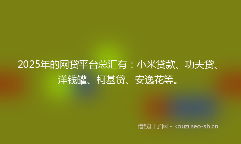 2025年的网贷平台总汇有：小米贷款、功夫贷、洋钱罐、柯基贷、安逸花等。