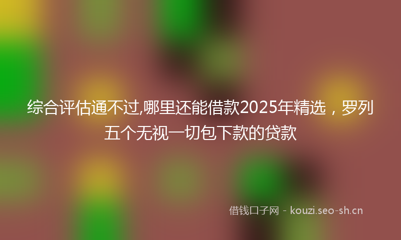 综合评估通不过,哪里还能借款2025年精选，罗列五个无视一切包下款的贷款