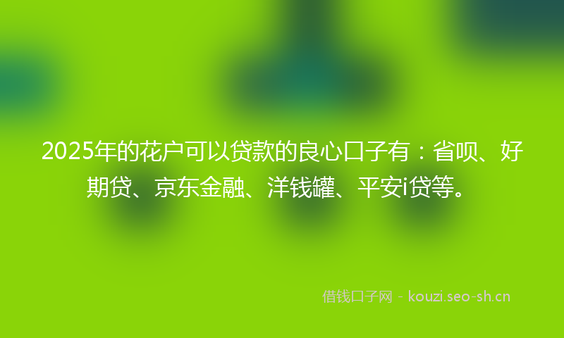2025年的花户可以贷款的良心口子有：省呗、好期贷、京东金融、洋钱罐、平安i贷等。