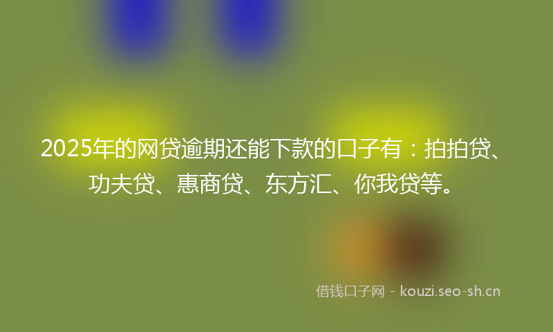 2025年的网贷逾期还能下款的口子有：拍拍贷、功夫贷、惠商贷、东方汇、你我贷等。