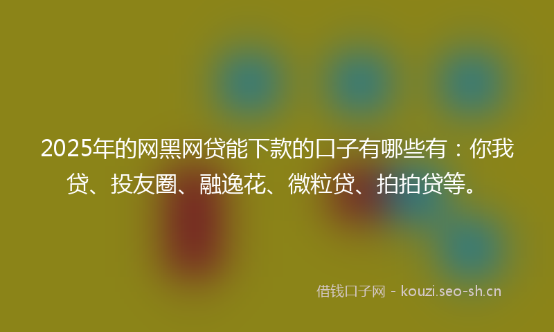 2025年的网黑网贷能下款的口子有哪些有：你我贷、投友圈、融逸花、微粒贷、拍拍贷等。