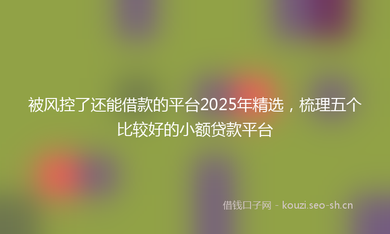 被风控了还能借款的平台2025年精选，梳理五个比较好的小额贷款平台