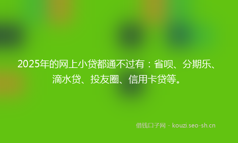 2025年的网上小贷都通不过有：省呗、分期乐、滴水贷、投友圈、信用卡贷等。