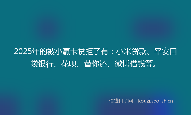 2025年的被小赢卡贷拒了有：小米贷款、平安口袋银行、花呗、替你还、微博借钱等。