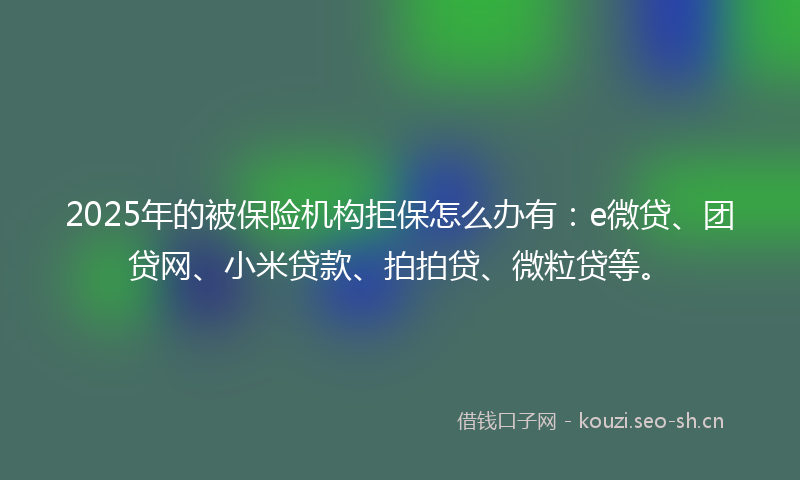 2025年的被保险机构拒保怎么办有：e微贷、团贷网、小米贷款、拍拍贷、微粒贷等。