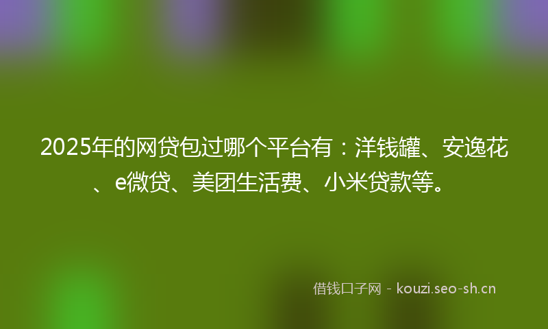 2025年的网贷包过哪个平台有：洋钱罐、安逸花、e微贷、美团生活费、小米贷款等。