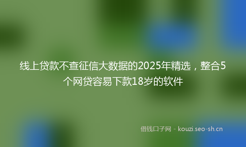 线上贷款不查征信大数据的2025年精选，整合5个网贷容易下款18岁的软件