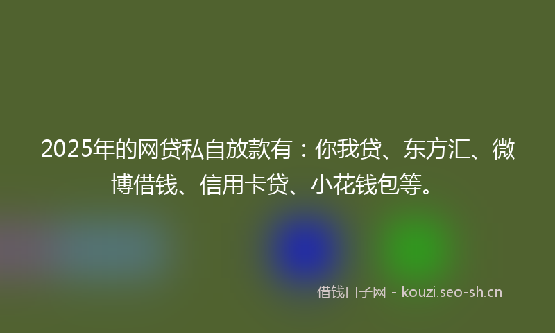 2025年的网贷私自放款有：你我贷、东方汇、微博借钱、信用卡贷、小花钱包等。