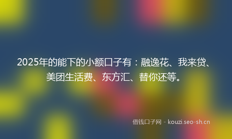 2025年的能下的小额口子有：融逸花、我来贷、美团生活费、东方汇、替你还等。