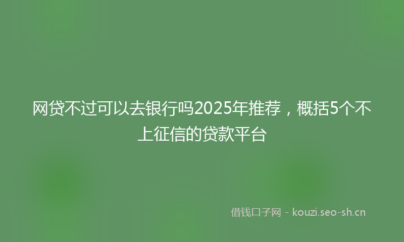 网贷不过可以去银行吗2025年推荐，概括5个不上征信的贷款平台