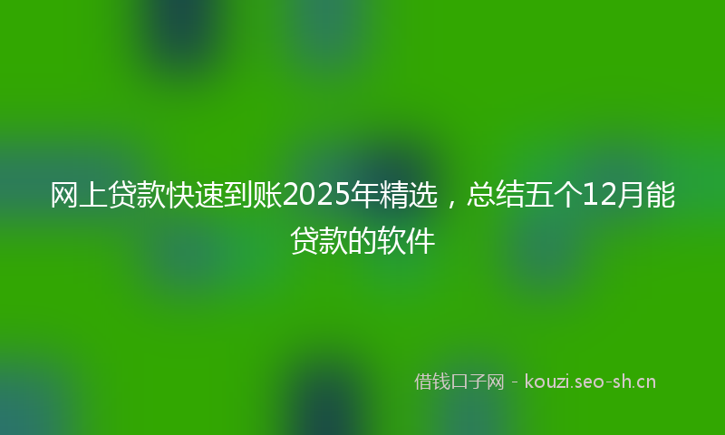 网上贷款快速到账2025年精选，总结五个12月能贷款的软件