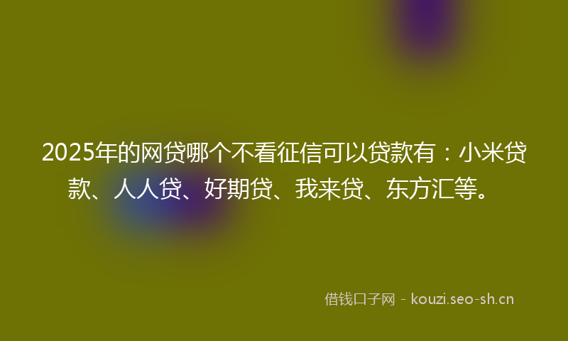 2025年的网贷哪个不看征信可以贷款有：小米贷款、人人贷、好期贷、我来贷、东方汇等。