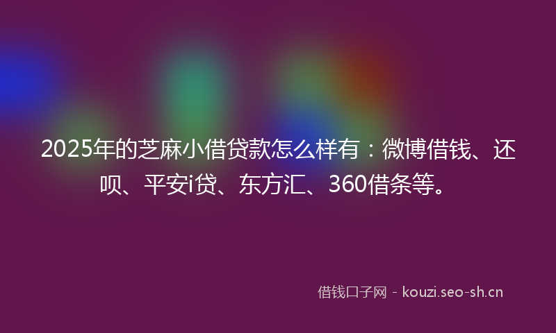 2025年的芝麻小借贷款怎么样有：微博借钱、还呗、平安i贷、东方汇、360借条等。