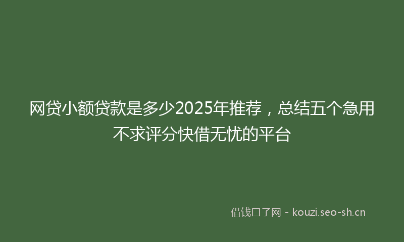 网贷小额贷款是多少2025年推荐，总结五个急用不求评分快借无忧的平台