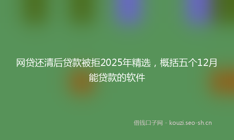 网贷还清后贷款被拒2025年精选，概括五个12月能贷款的软件