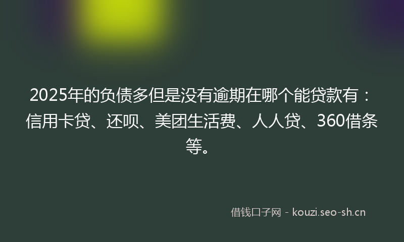 2025年的负债多但是没有逾期在哪个能贷款有：信用卡贷、还呗、美团生活费、人人贷、360借条等。