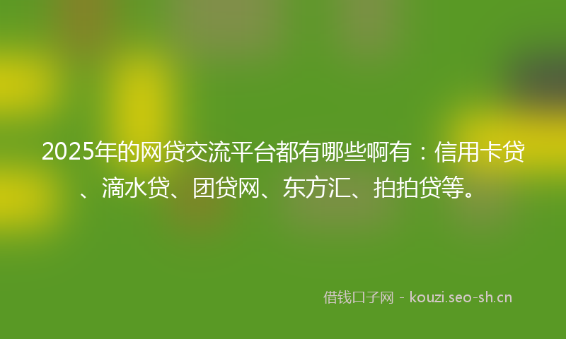 2025年的网贷交流平台都有哪些啊有：信用卡贷、滴水贷、团贷网、东方汇、拍拍贷等。