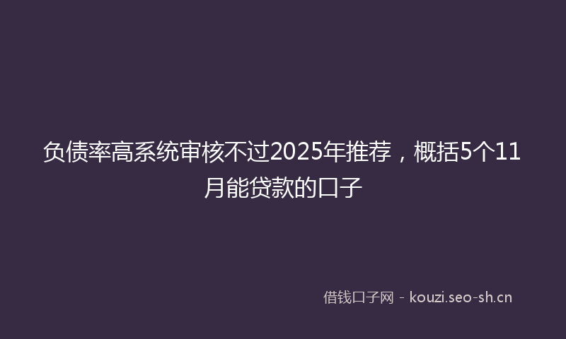 负债率高系统审核不过2025年推荐，概括5个11月能贷款的口子