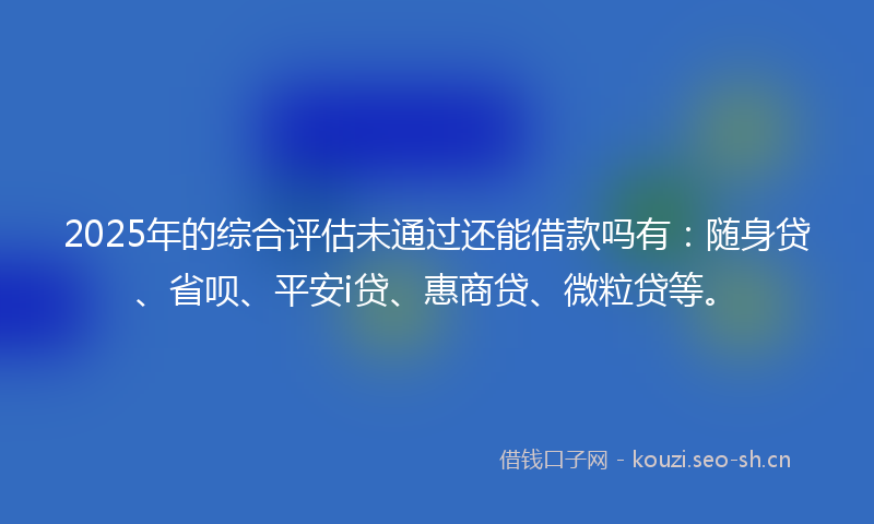 2025年的综合评估未通过还能借款吗有：随身贷、省呗、平安i贷、惠商贷、微粒贷等。