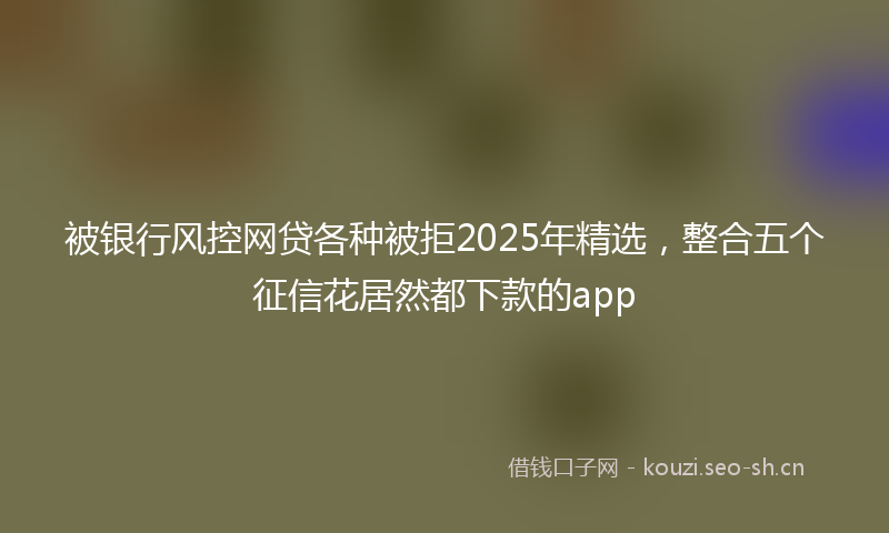 被银行风控网贷各种被拒2025年精选，整合五个征信花居然都下款的app