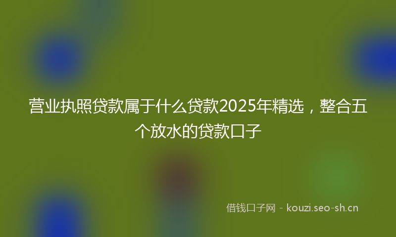 营业执照贷款属于什么贷款2025年精选，整合五个放水的贷款口子