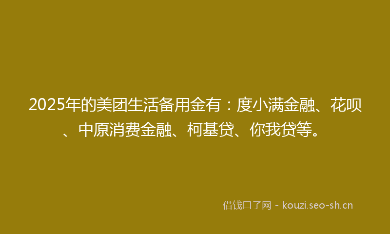 2025年的美团生活备用金有：度小满金融、花呗、中原消费金融、柯基贷、你我贷等。