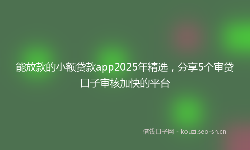 能放款的小额贷款app2025年精选，分享5个审贷口子审核加快的平台