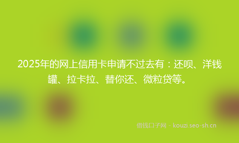 2025年的网上信用卡申请不过去有：还呗、洋钱罐、拉卡拉、替你还、微粒贷等。