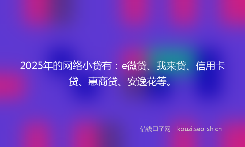 2025年的网络小贷有：e微贷、我来贷、信用卡贷、惠商贷、安逸花等。