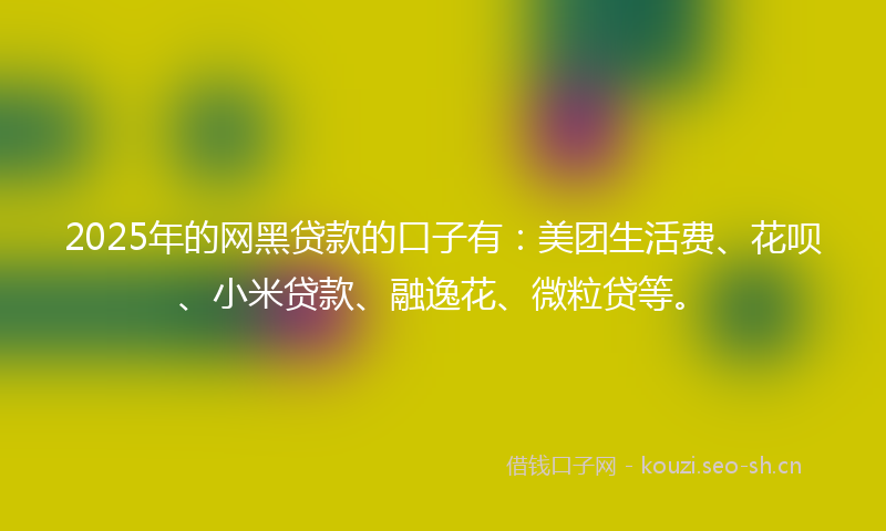 2025年的网黑贷款的口子有：美团生活费、花呗、小米贷款、融逸花、微粒贷等。